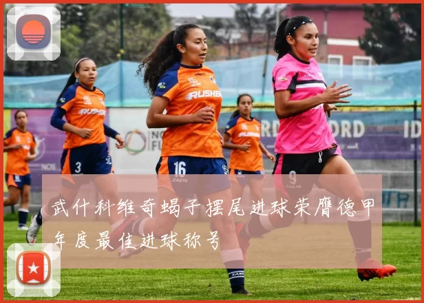 武什科维奇蝎子摆尾进球荣膺德甲年度最佳进球称号