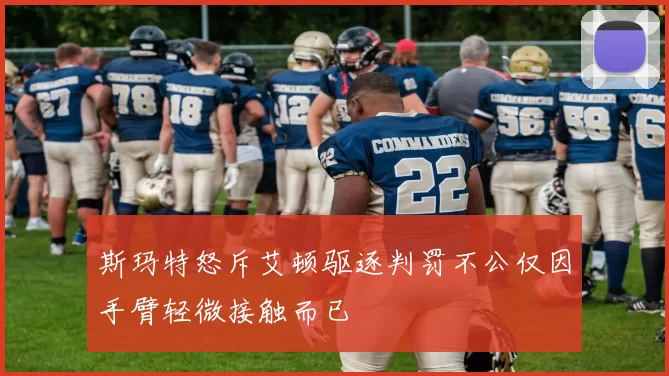 斯玛特怒斥艾顿驱逐判罚不公仅因手臂轻微接触而已